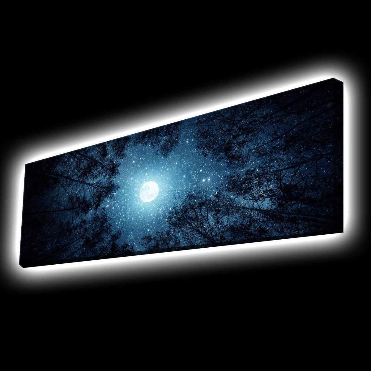 Tablou decorativ pe pânză cu LED, 3090KTLGDACT - 011, Multicolor