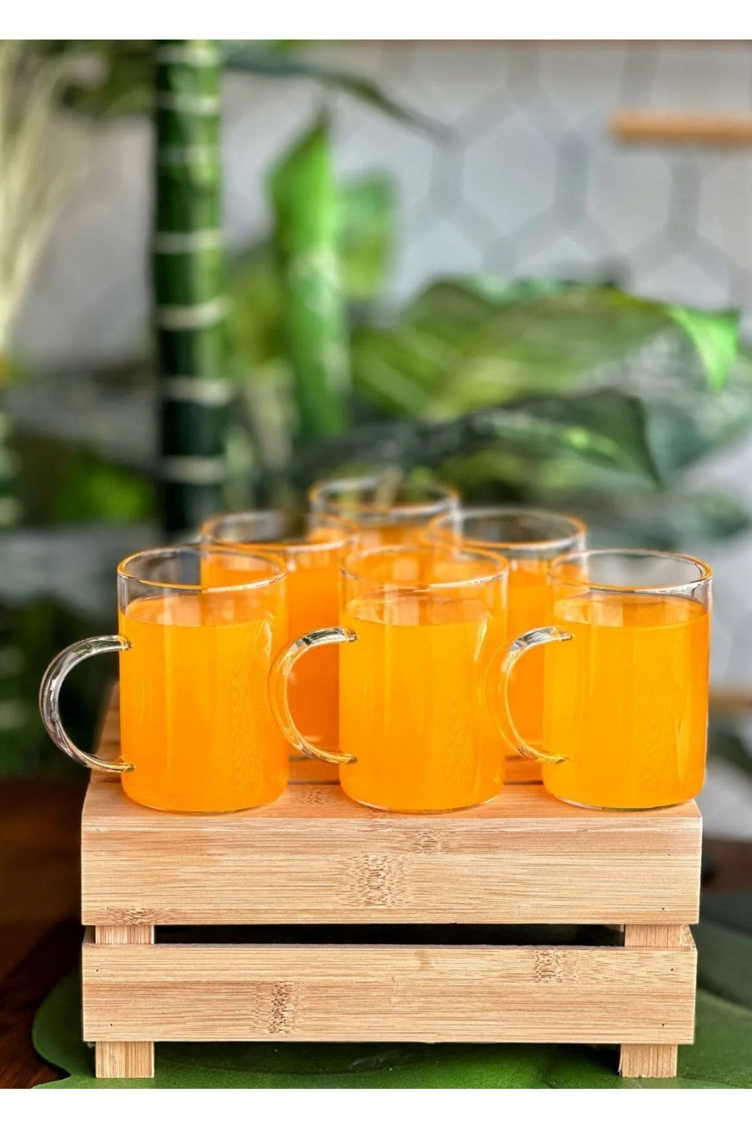 Set pahare (6 piese), Bayv - Transparent, Transparent