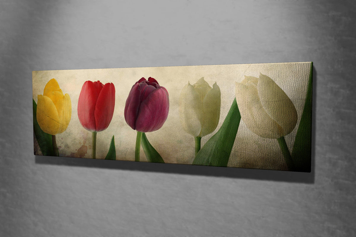 Tablou decorativ pe pânză, PC147, Multicolor