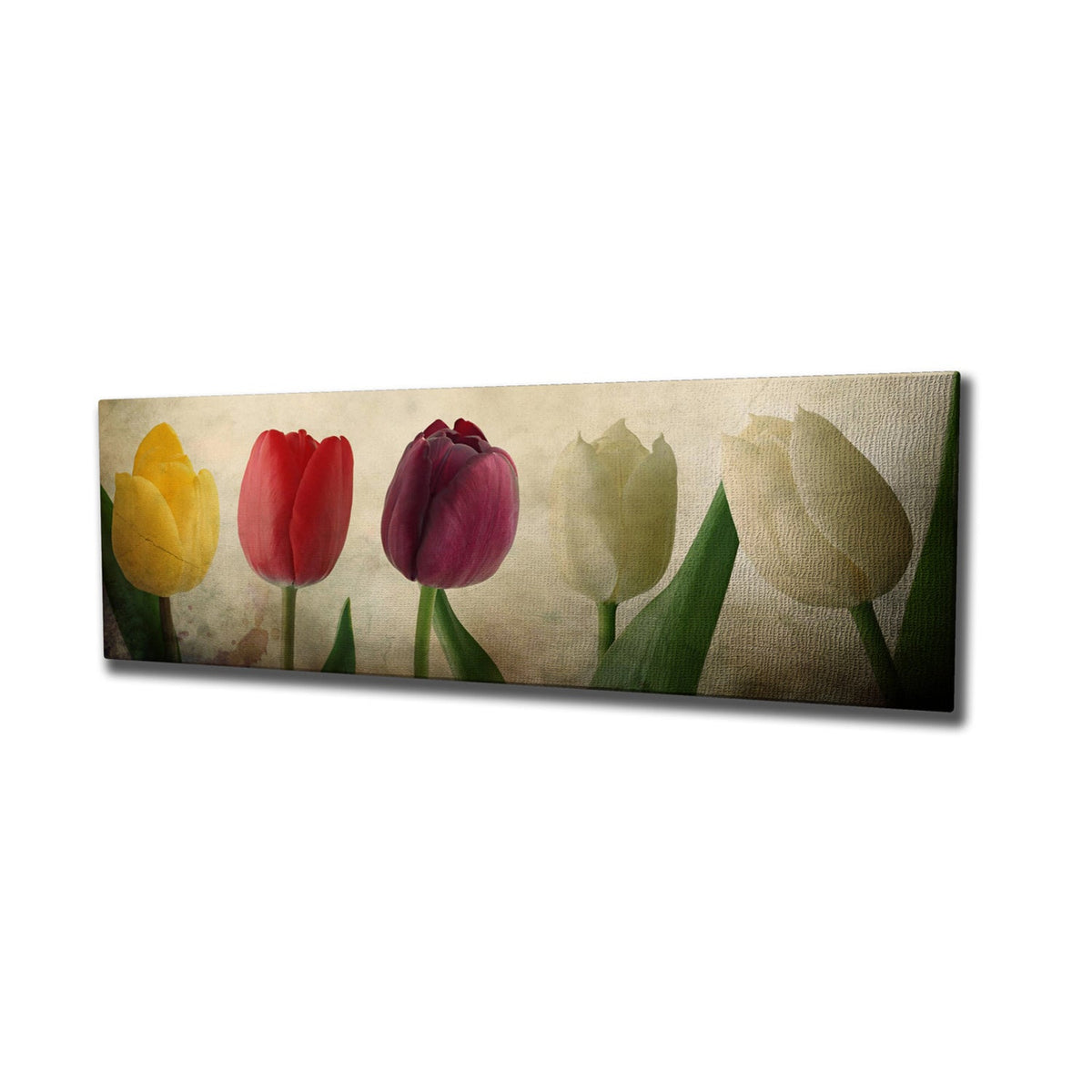 Tablou decorativ pe pânză, PC147, Multicolor