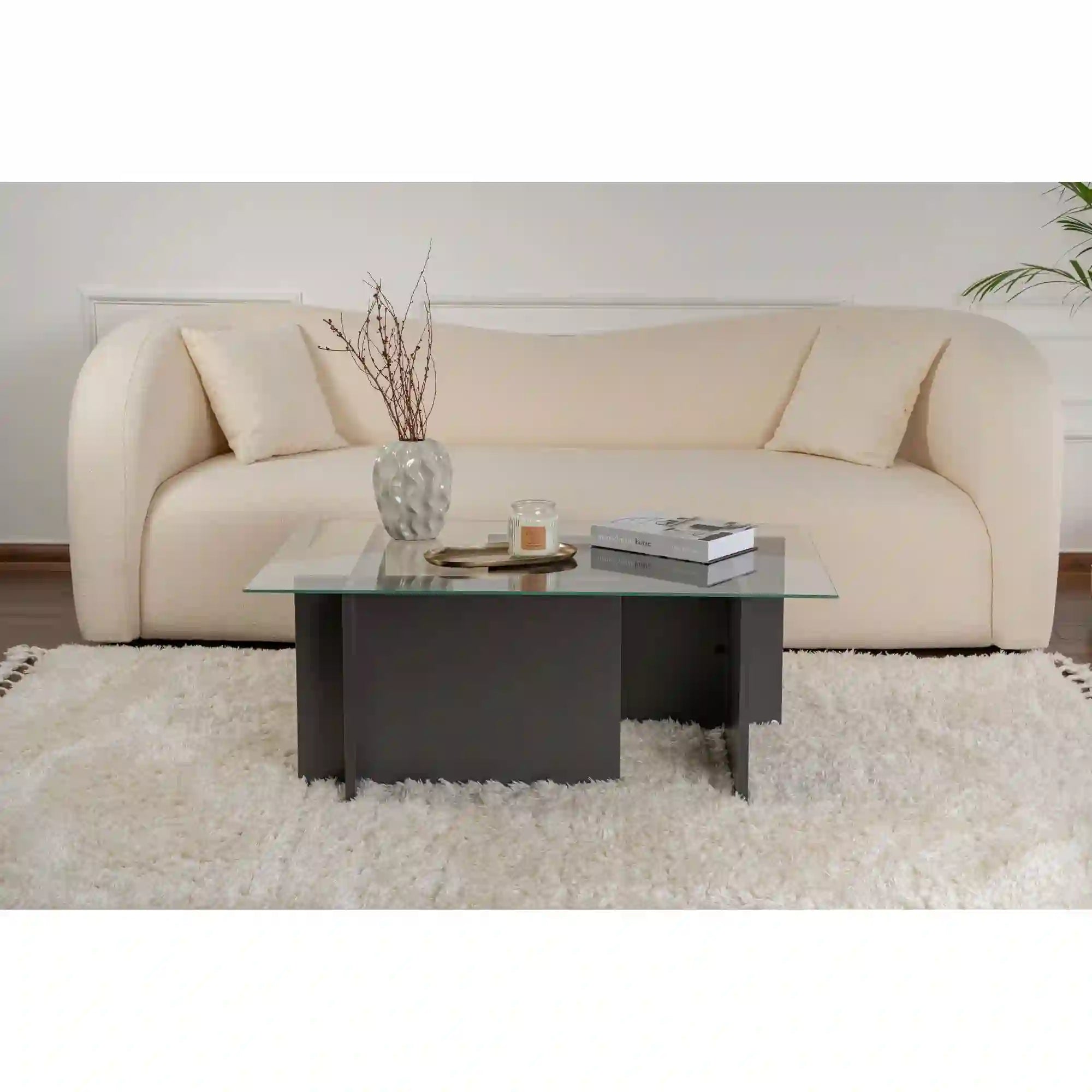 Masuta cafea VETRINO, gri antracit/transparent, sticla/PAL, 105x65x40 cm