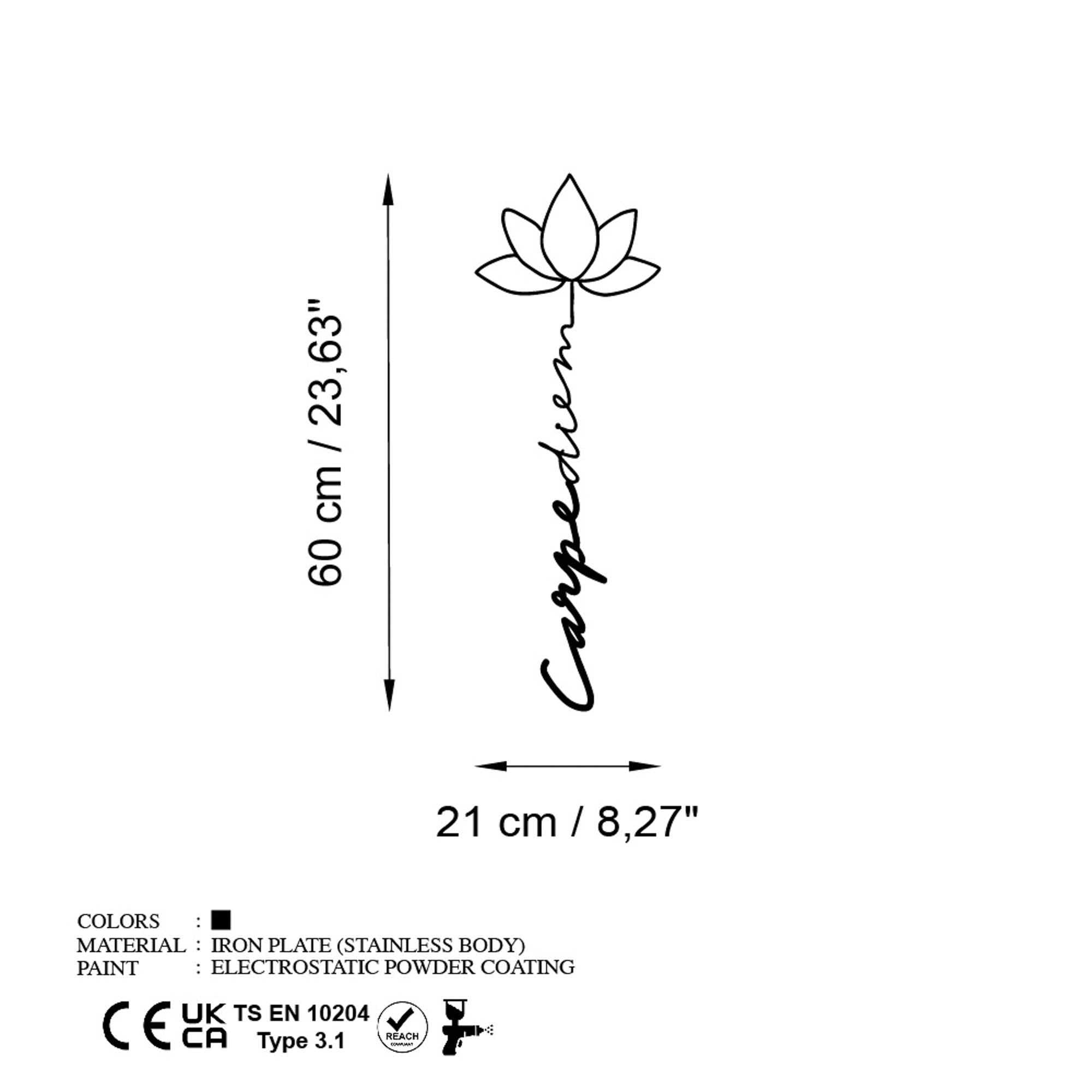 Accesoriu decorativ metalic de perete, Carpe Diem 4, Negru