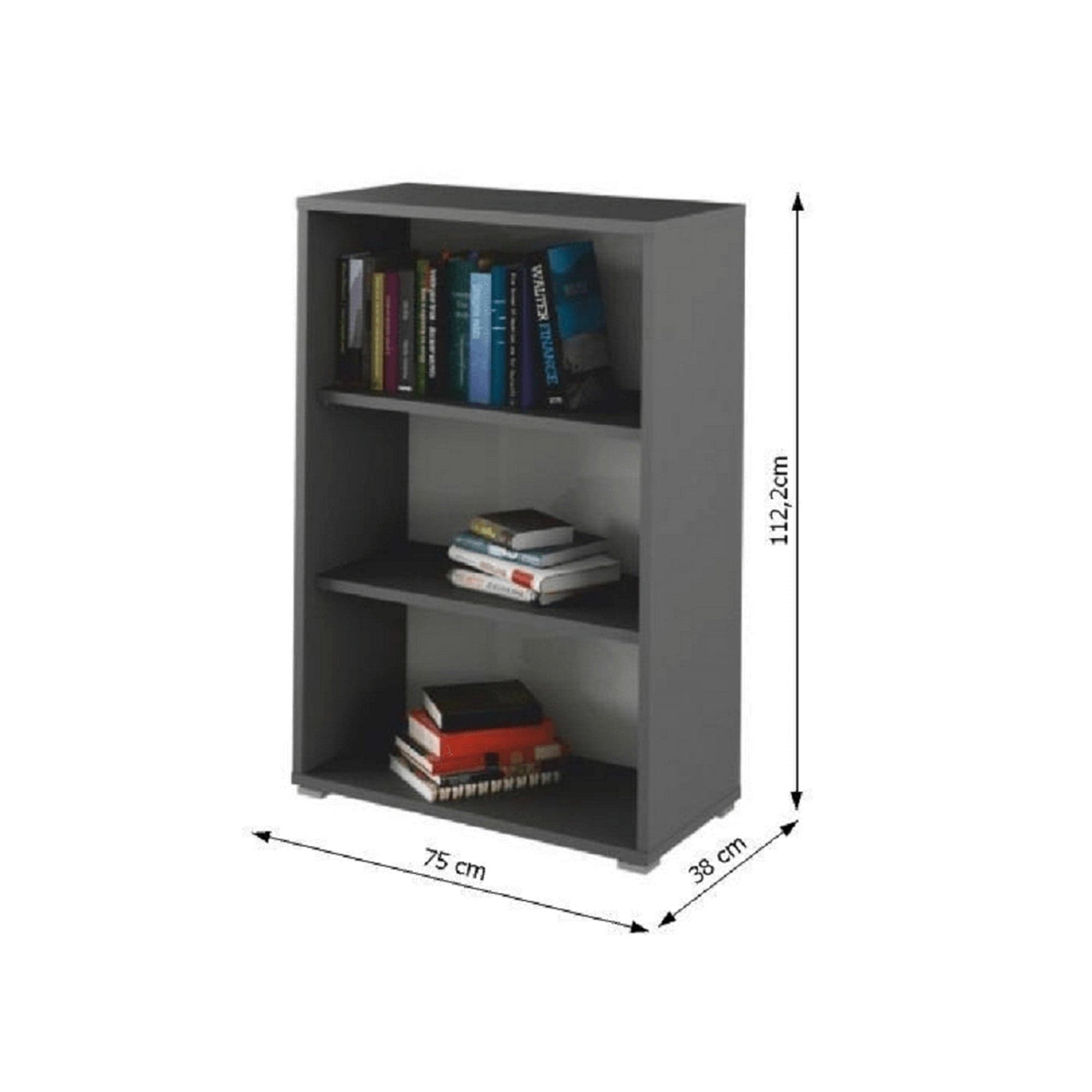 Boblioteca RIOMA NEW TYP 04, gri grafit, PAL melaminat, 75x38x112 cm