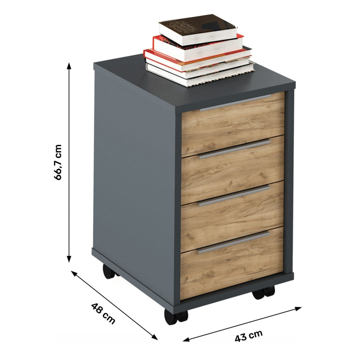 Comoda birou RIOMA NEW TYP 14, gri grafit/stejar artisan, DTD laminat/metal, 43x48x67 cm