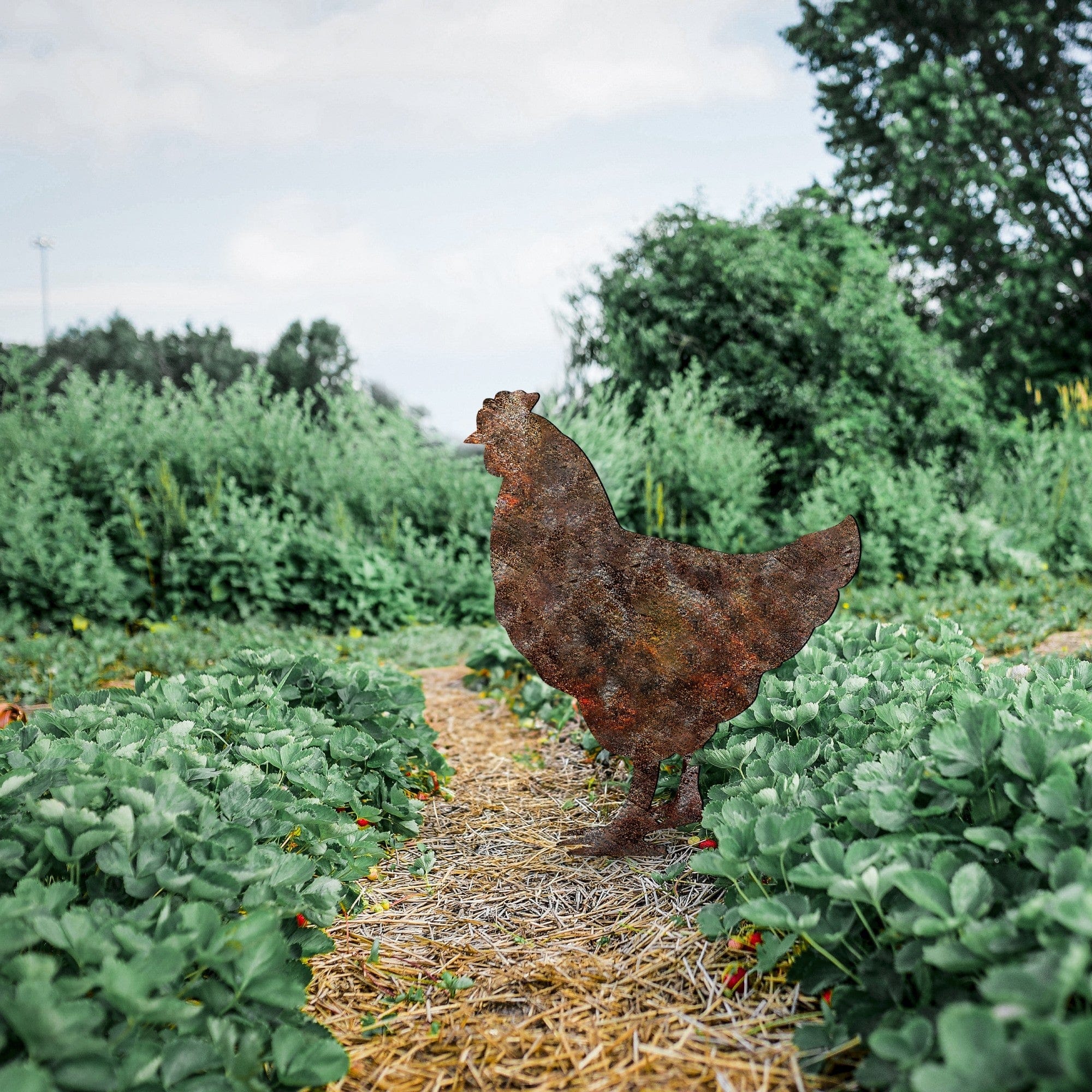 Decoratiune gradina CHICKEN A-01, maro, metal, 42x49 cm