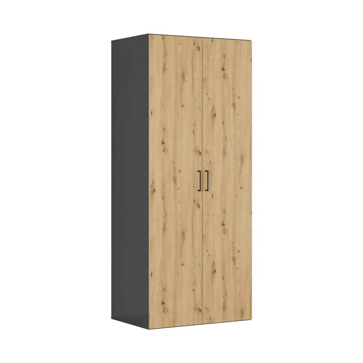 Dulap FLEX, gri grafit/stejar artisan, PAL, cu 2 usi, 100x66x240 cm