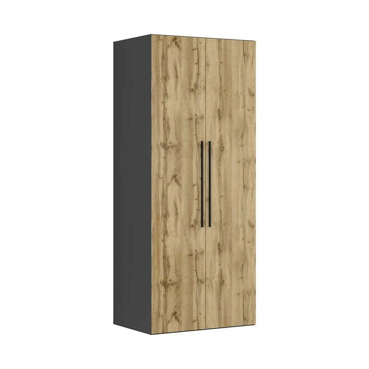 Dulap FLEX, gri grafit/stejar wotan, PAL, cu 2 usi, 100x66x240 cm