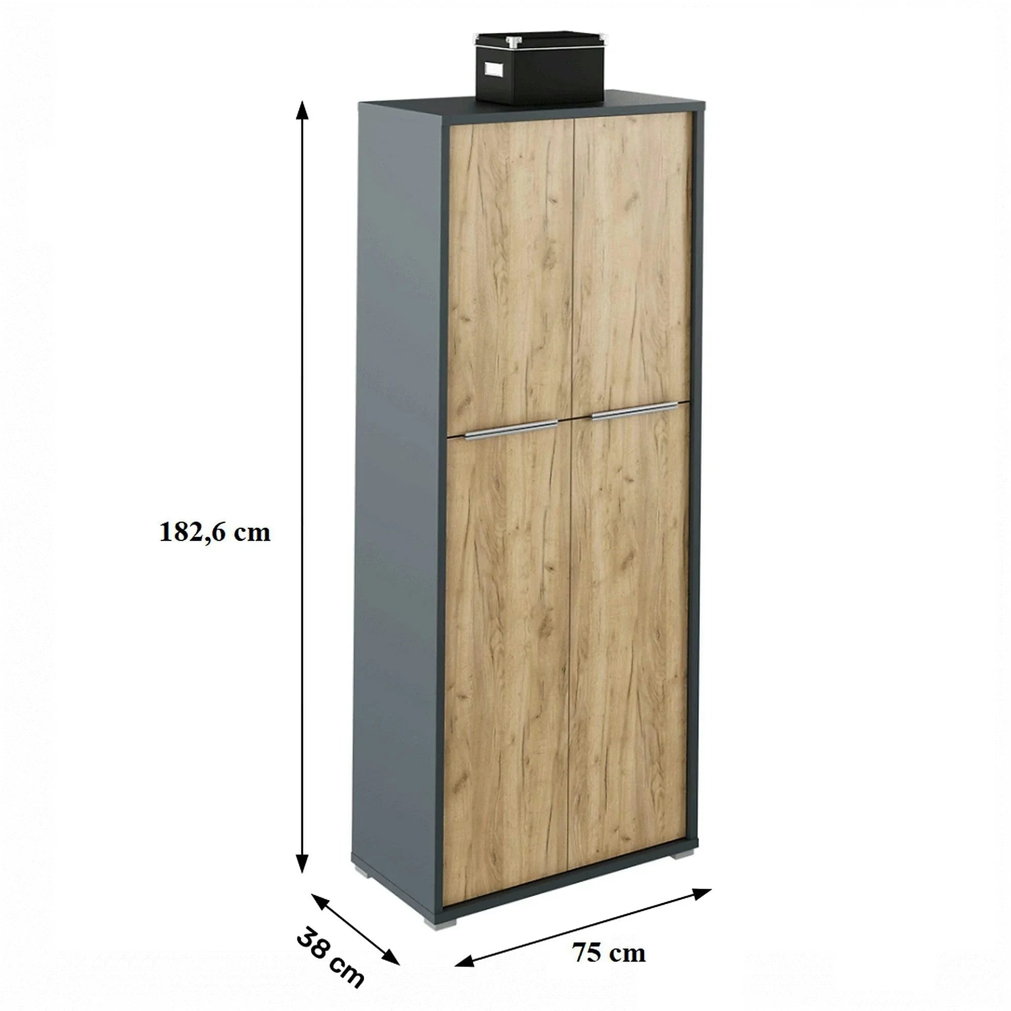 Dulap RIOMA NEW TYP 07, gri grafit/stejar artisan, DTD laminat, cu 4 usi, 75x38x183 cm