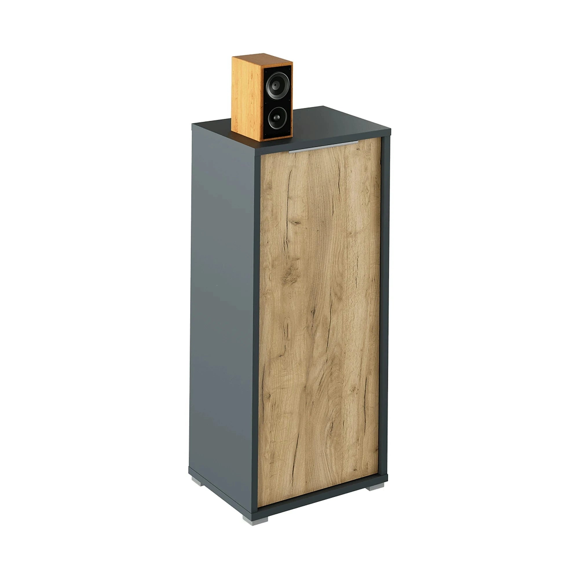 Dulap RIOMA NEW TYP 10, gri grafit/stejar artisan, DTD laminat, cu o usa, 50x38x112 cm