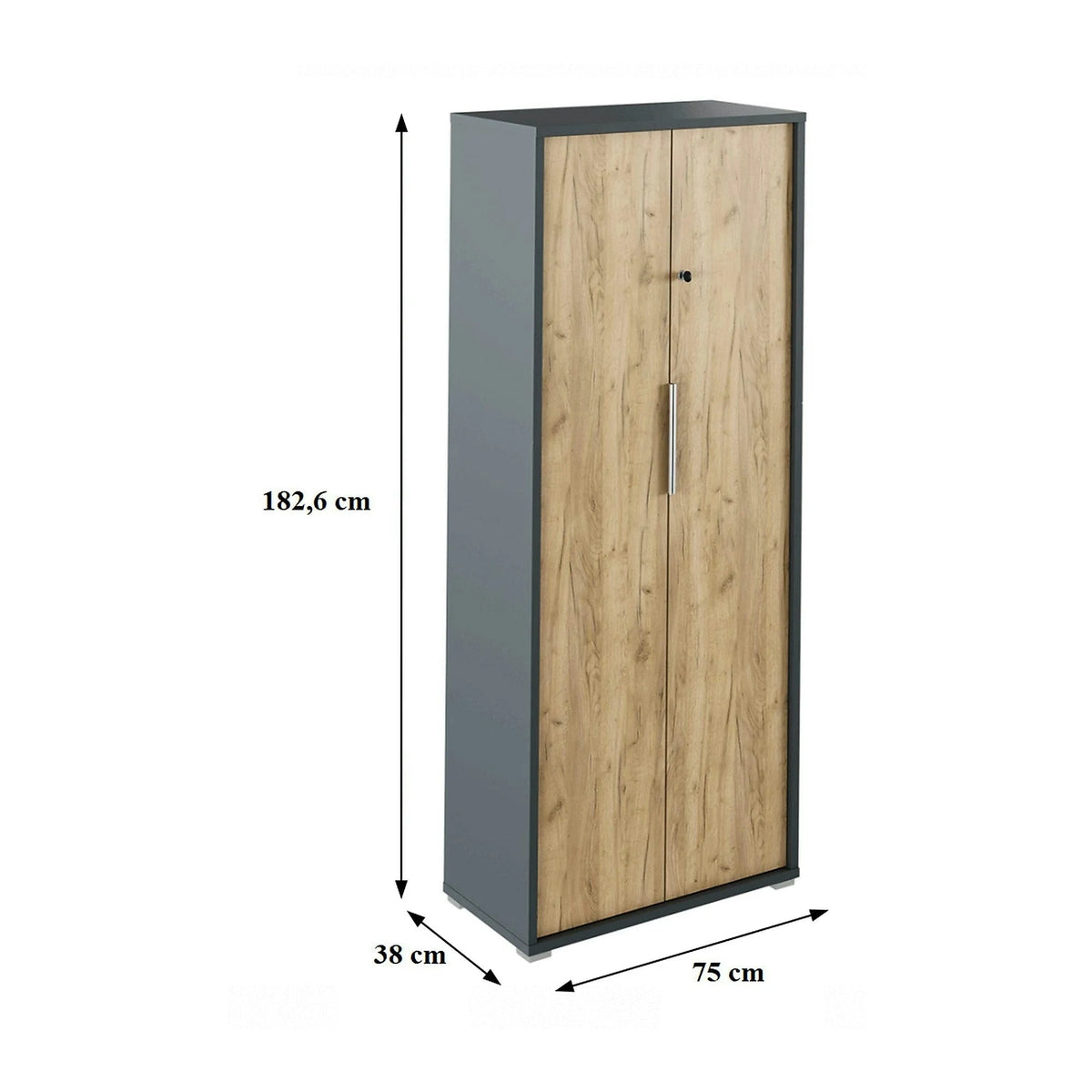 Dulap RIOMA NEW TYP 31, stejar artisan/gri grafit, DTD laminat, cu 2 usi, 75x38x183 cm