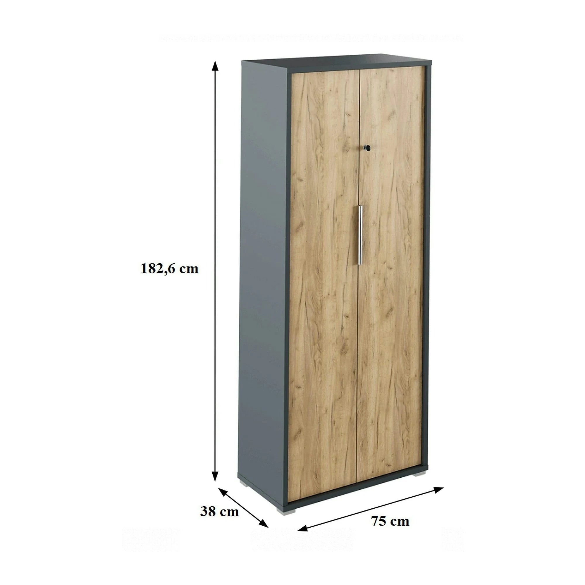 Dulap RIOMA NEW TYP 31, stejar artisan/gri grafit, DTD laminat, cu 2 usi, 75x38x183 cm
