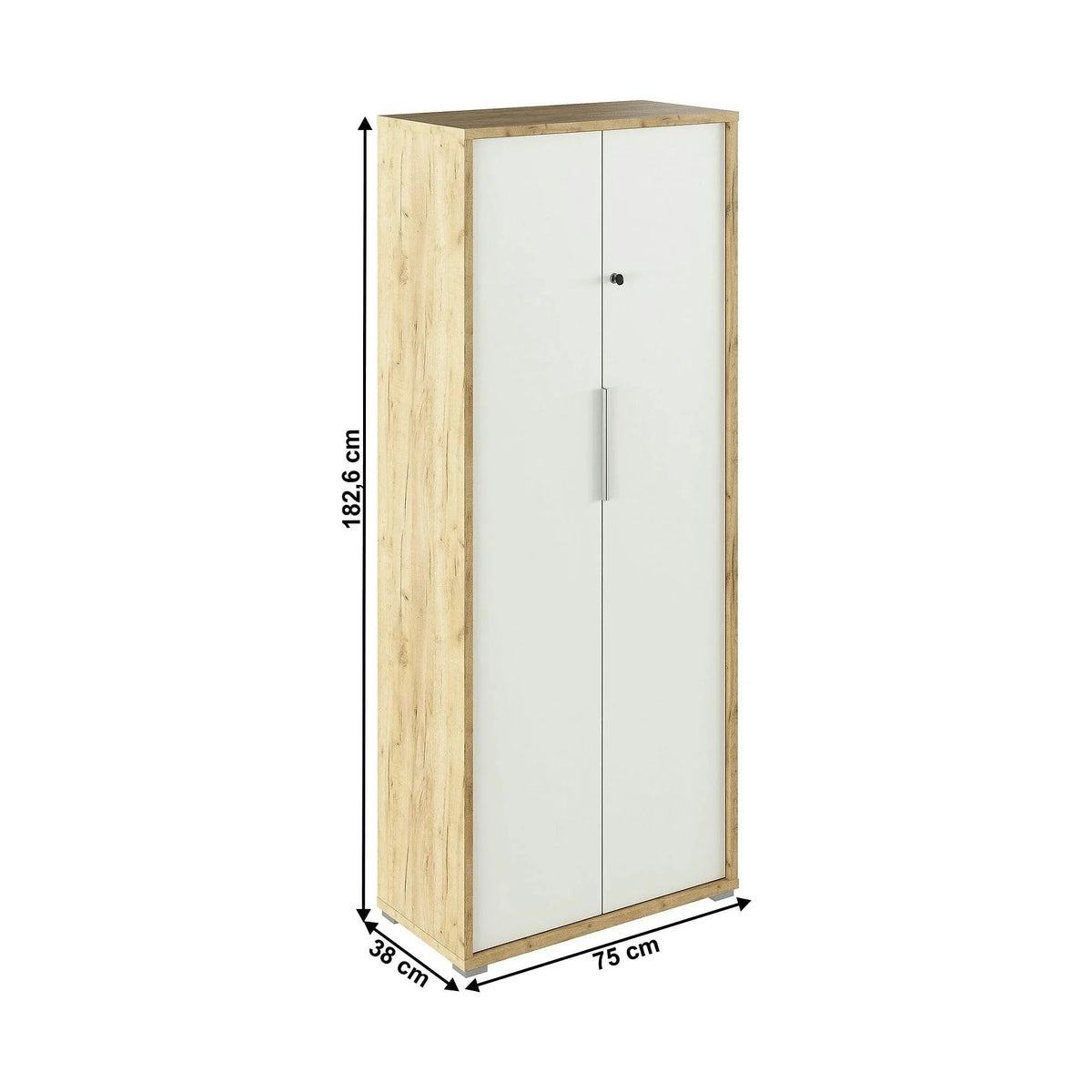 Dulap RIOMA TYP 31, stejar artisan/alb, DTD laminat, cu 2 usi, 75x38x183 cm
