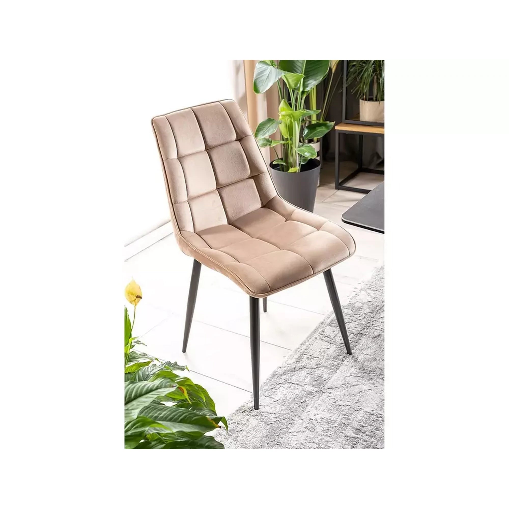 Scaun CHIC, bej, stofa catifelata/metal, 50x43x88 cm