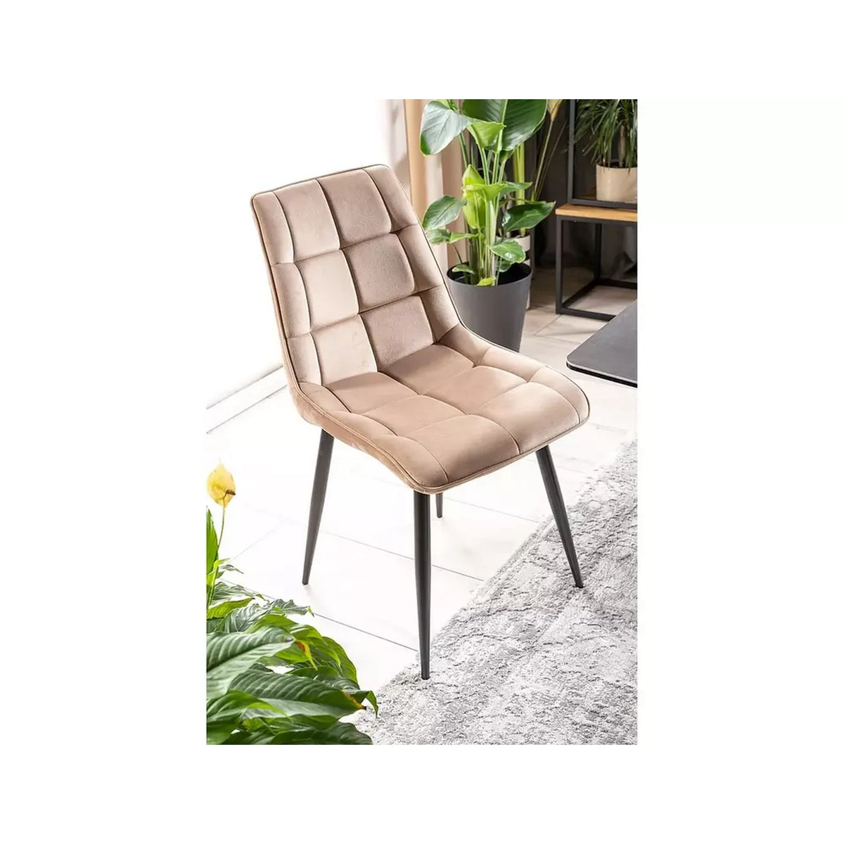 Scaun tapitat stofa CHIC, bej, catifea/metal, 50x58x88 cm
