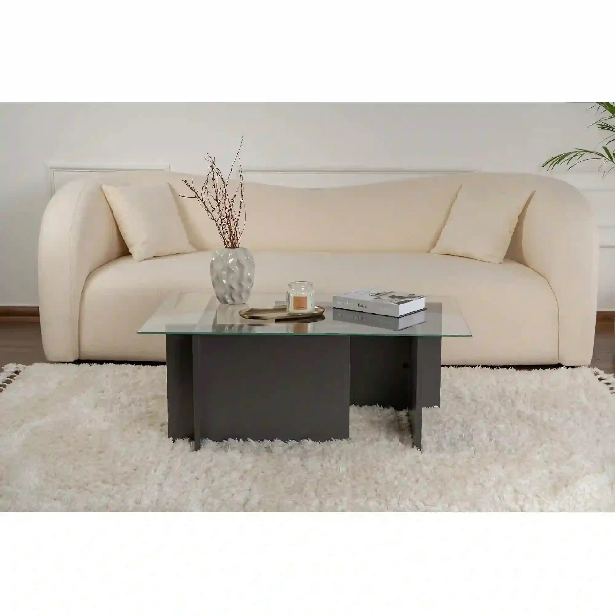 Masuta cafea VETRINO, gri antracit/transparent, sticla/PAL, 105x65x40 cm