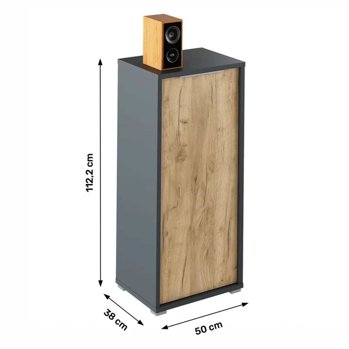 Dulap RIOMA NEW TYP 10, gri grafit/stejar artisan, DTD laminat, cu o usa, 50x38x112 cm