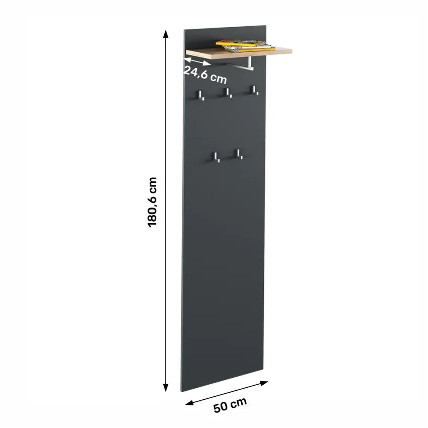 Cuier cu bara de umerase RIOMA NEW TYP 19, gri grafit/stejar artisan, DTD laminat, 50x25x181 cm