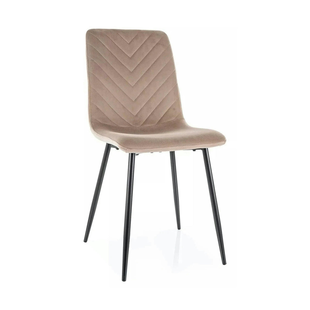 Scaun DAREN, bej inchis - Bluvel 40, stofa catifelata/metal, 45x39x91 cm