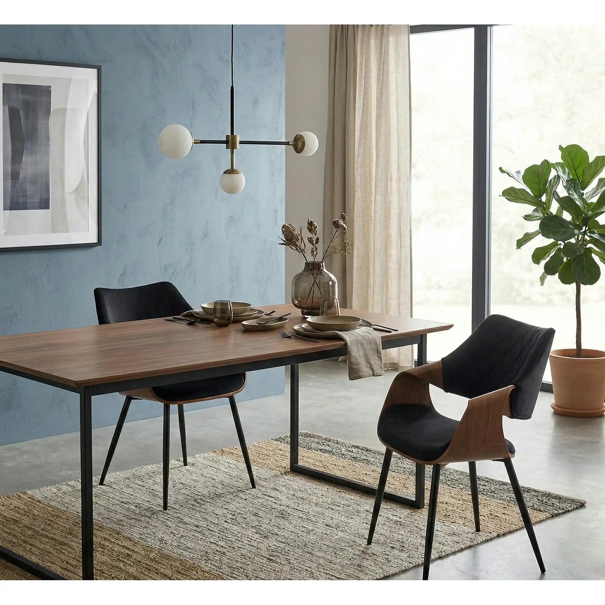 Scaun K586, negru - Bluvel 19, stofa catifelata/placaj indoit, 56x55x77 cm