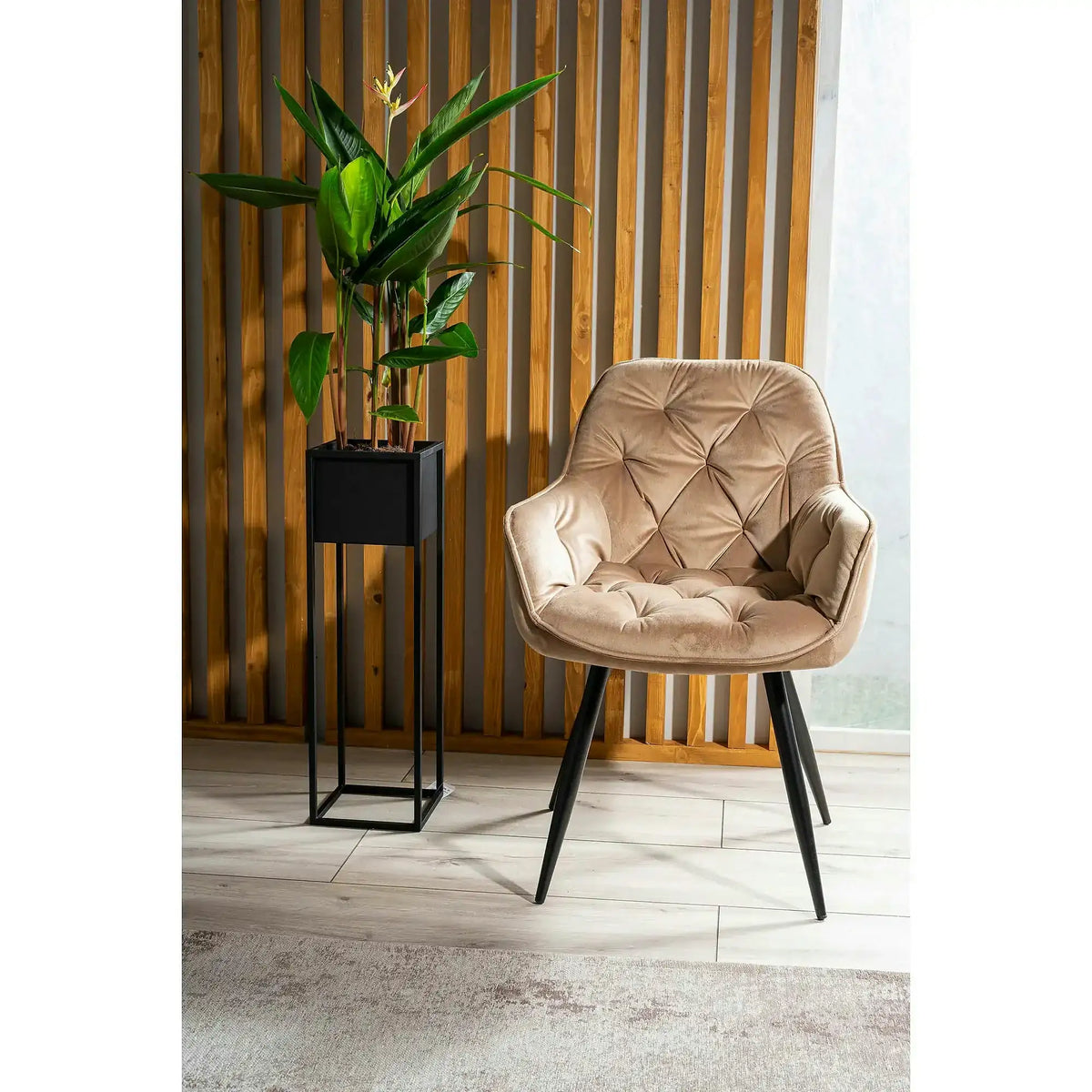 Scaun tapitat modern CHERRY, bej/negru, stofa catifelata/metal, 57x58x87 cm