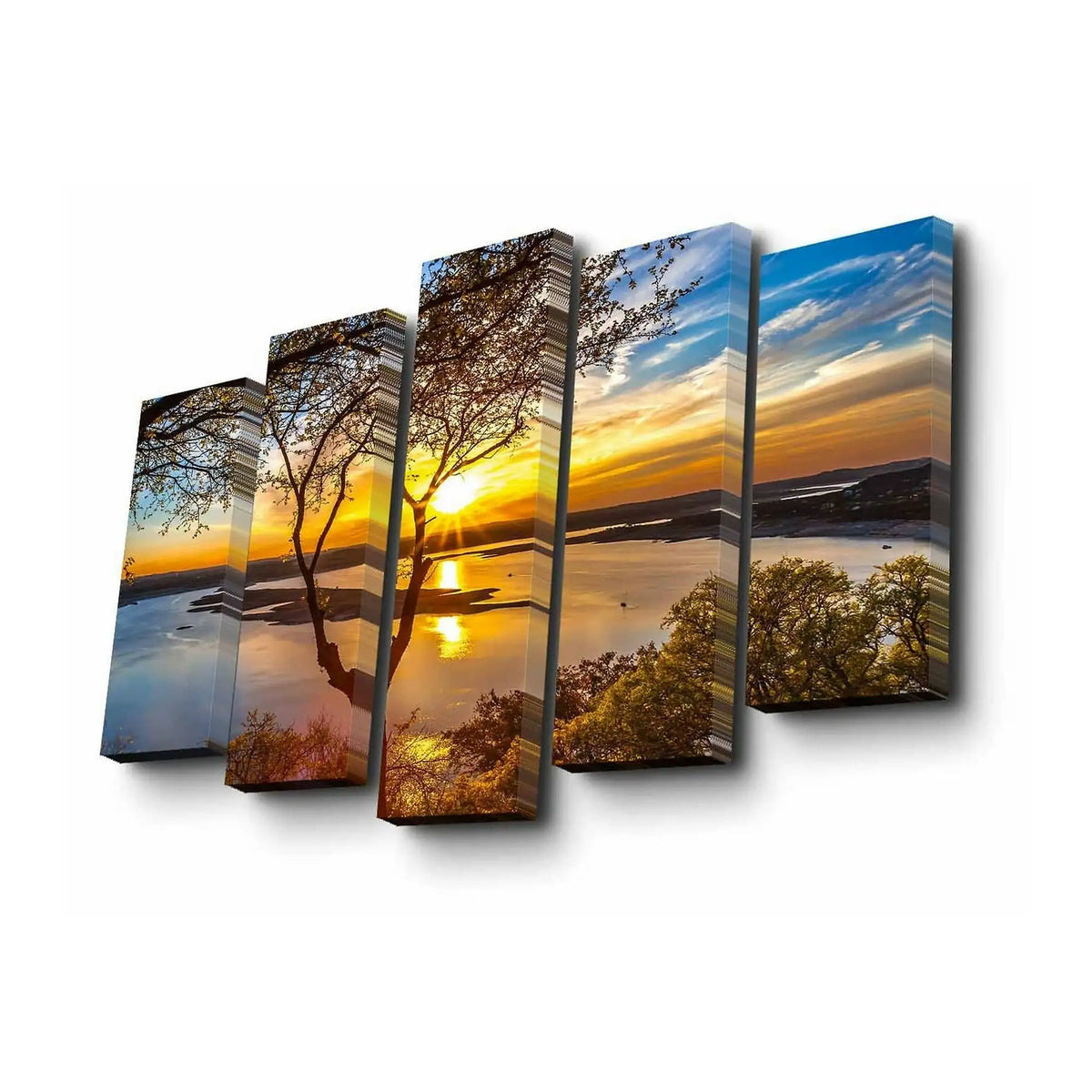 Set 5 tablouri 5PUC-117, multicolor, panza, 82x50 cm