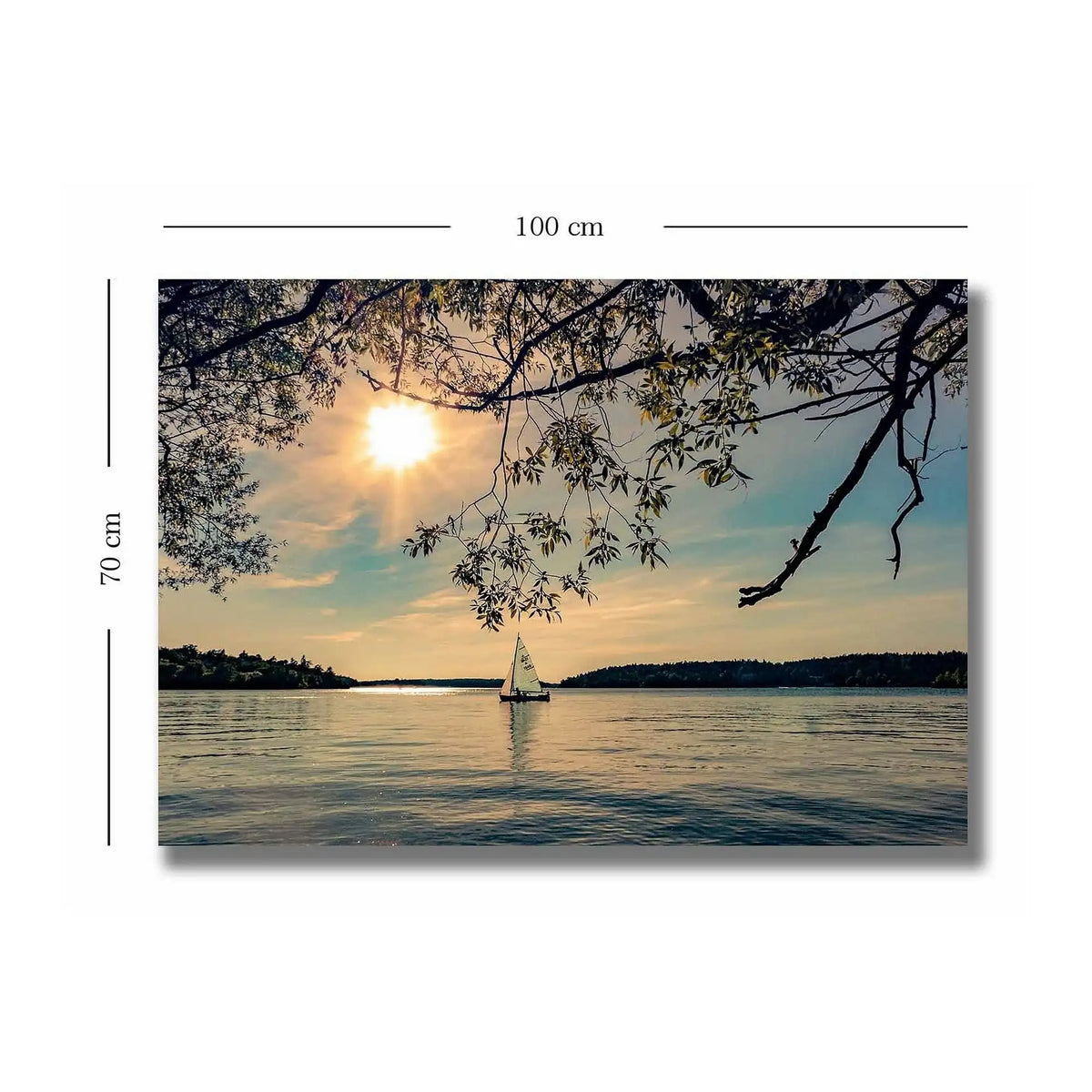 Tablou 252SGH1516, multicolor, panza, 100x70 cm