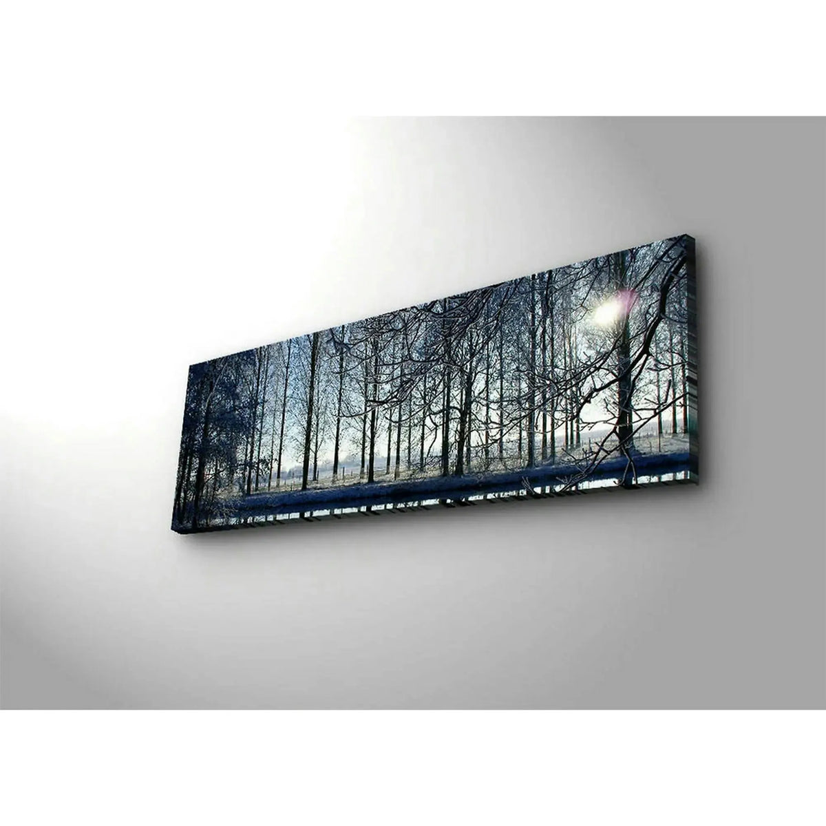 Tablou 3090DACT-37, multicolor, panza, cu iluminare LED, 90x30 cm