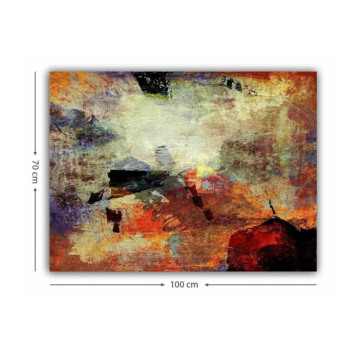 Tablou 441HPE2789, multicolor, panza, 100x70 cm