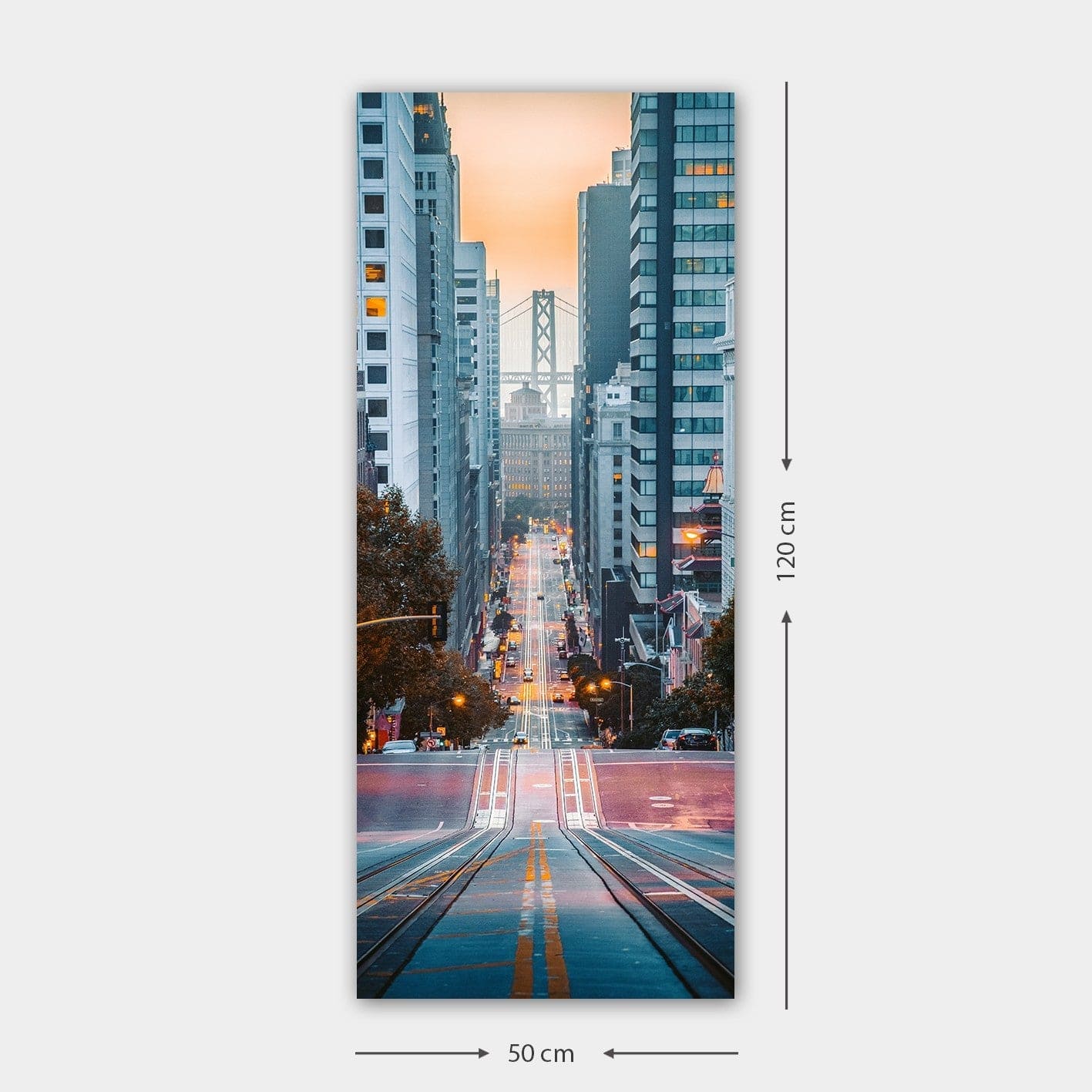 Tablou 451ERN1889, multicolor, panza, 50x120 cm