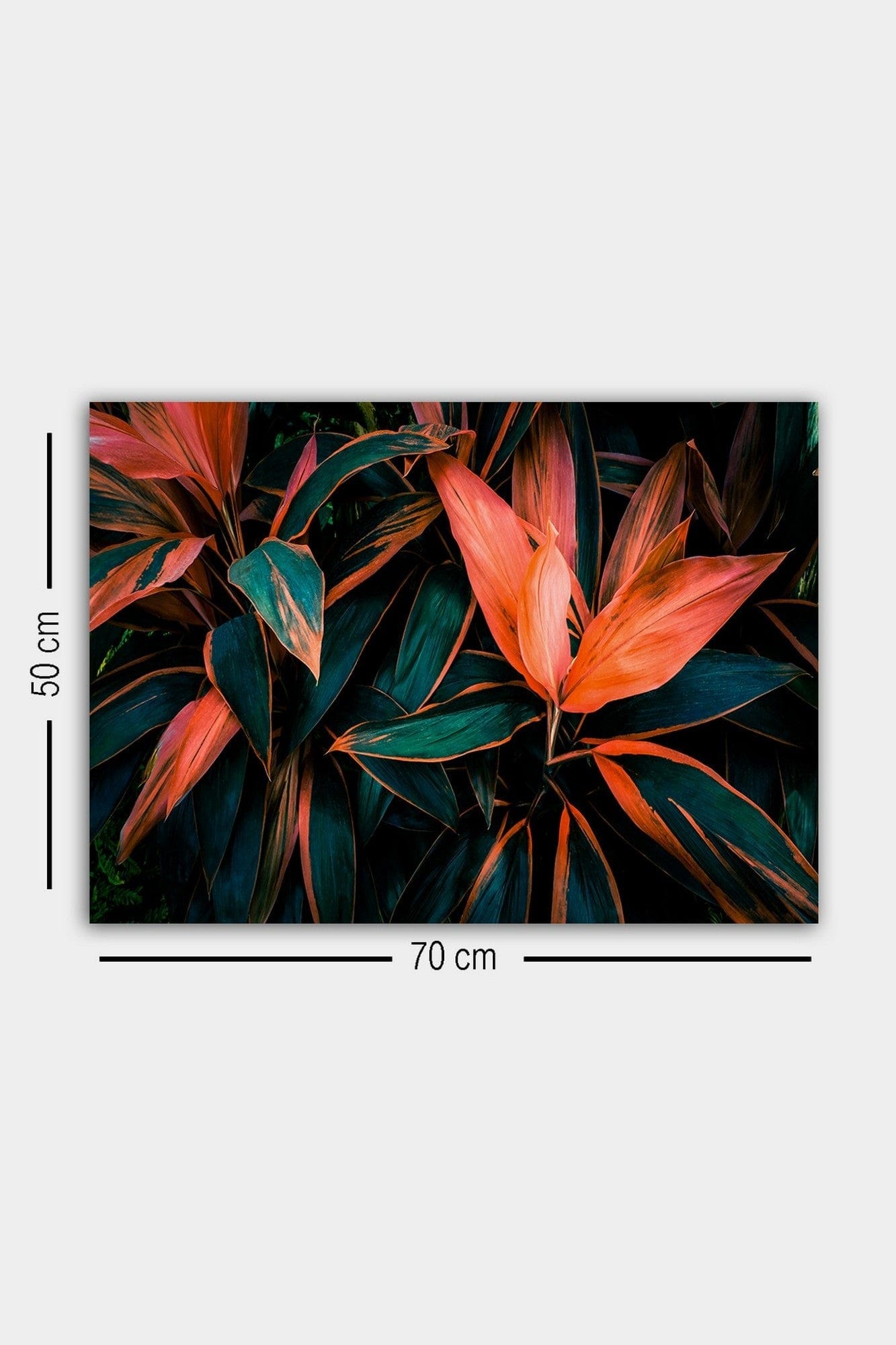 Tablou 529TCR1731, multicolor, panza/lemn, 70x50 cm