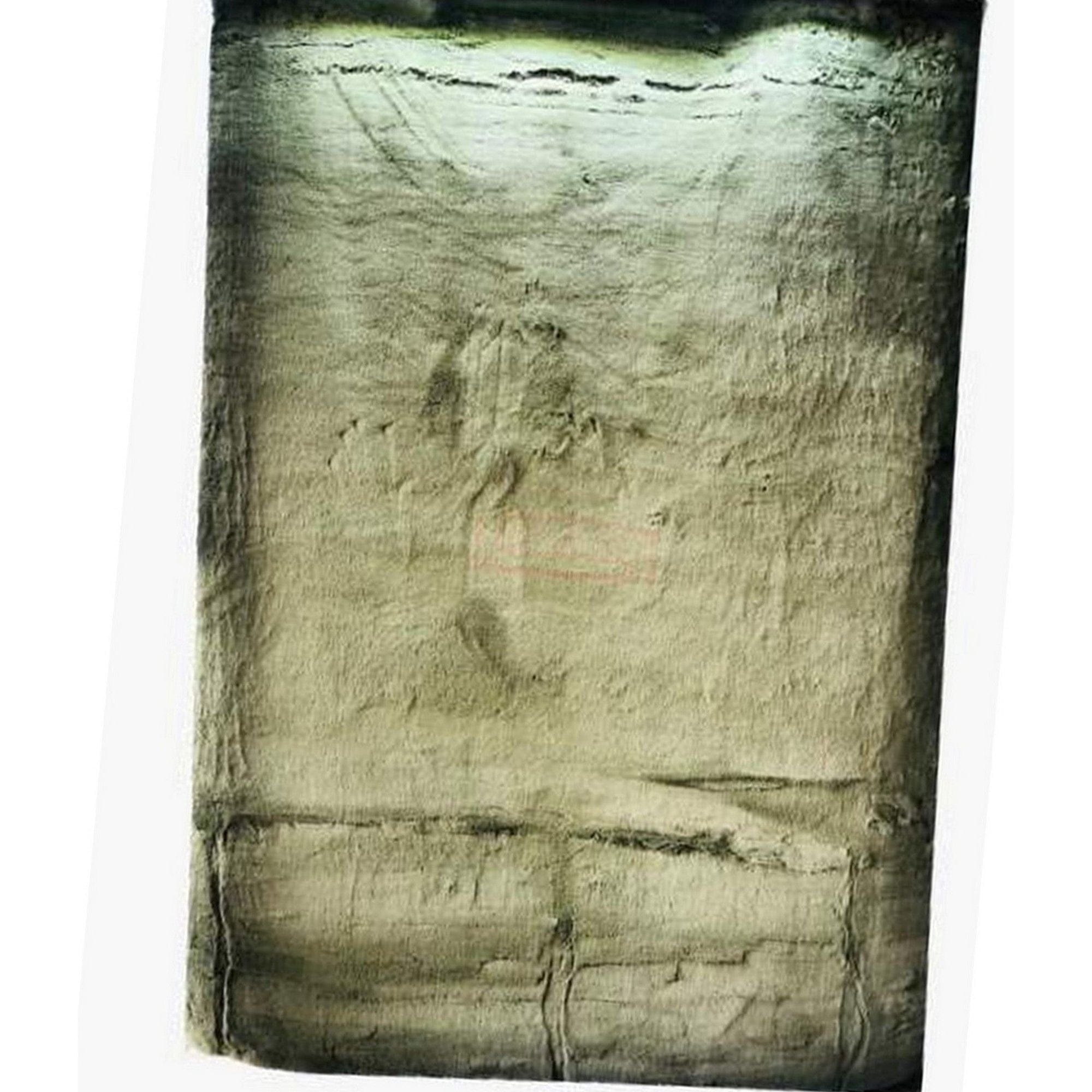 Covor PIERRE CARDIN SOFTLINE, forma dreptunghiulara, verde deschis, poliester