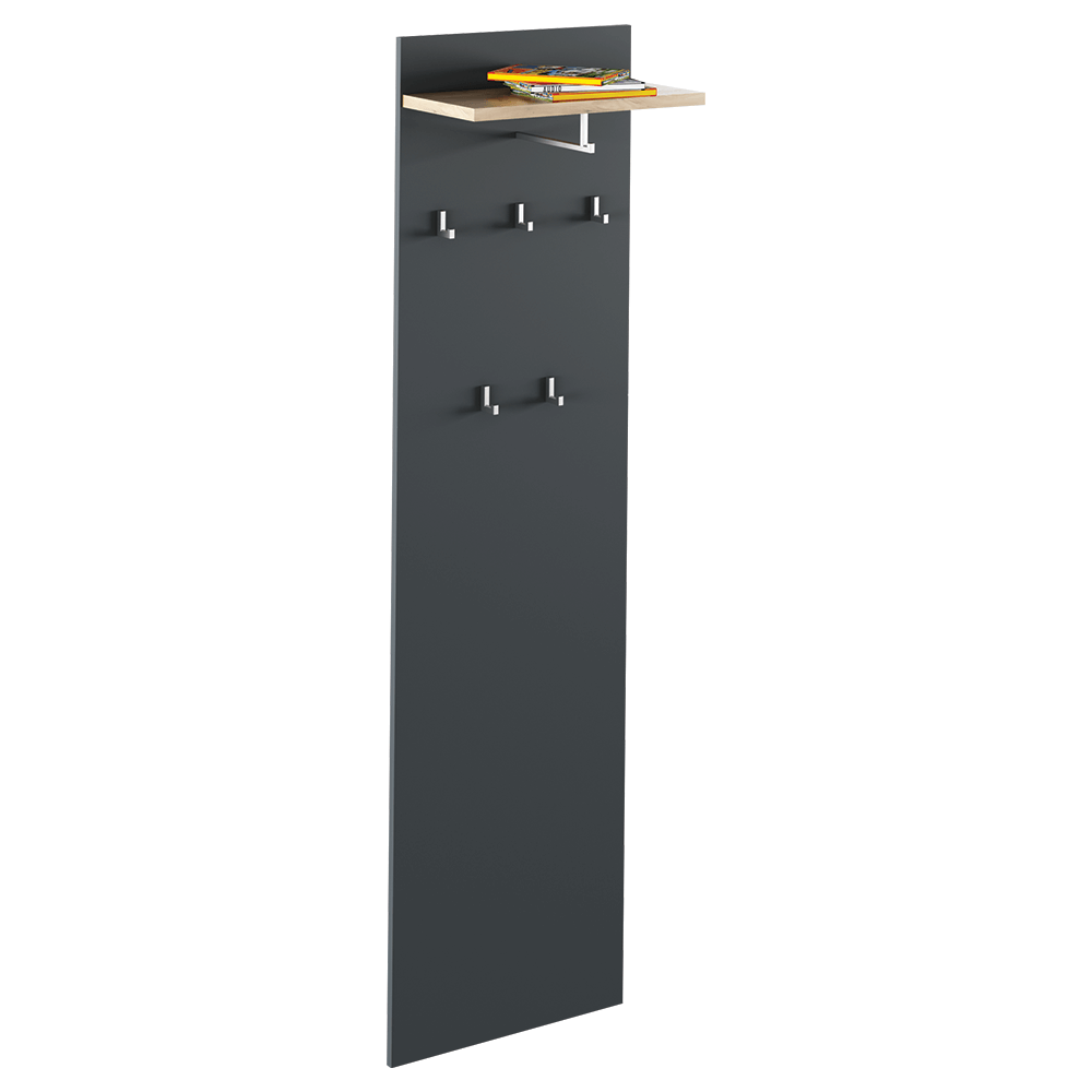 Cuier cu bara de umerase RIOMA NEW TYP 19, gri grafit/stejar artisan, DTD laminat, 50x25x181 cm