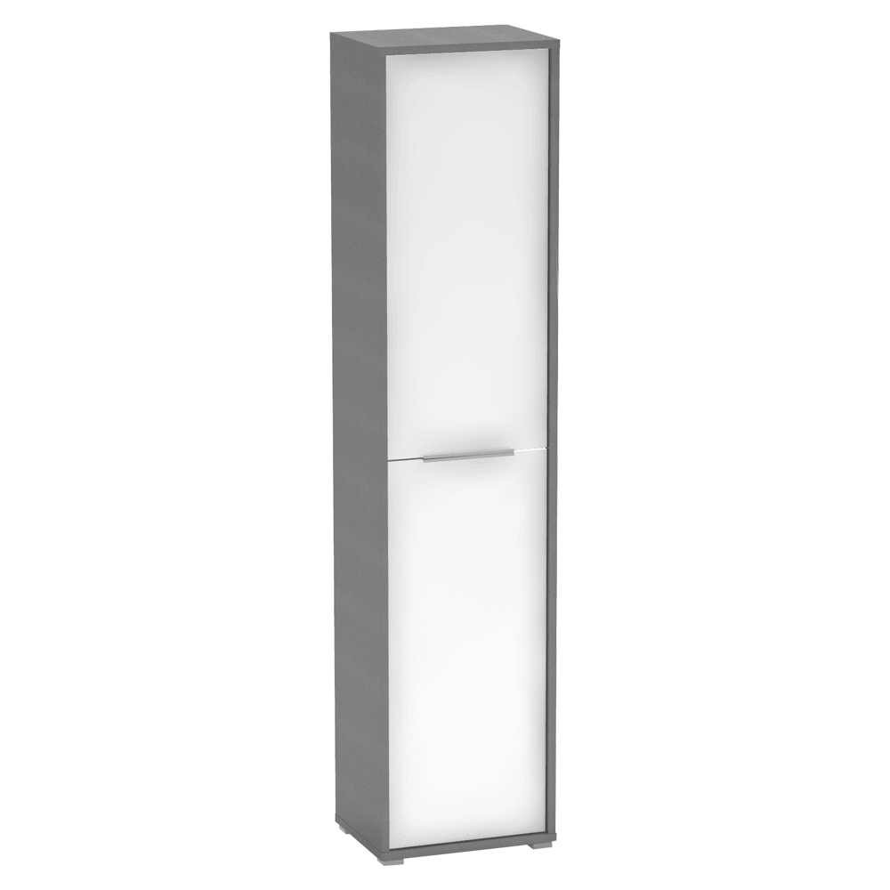 Dulap RIOMA NEW TYP 06, gri grafit/alb, DTD laminat, cu 2 usi, 50x38x218 cm