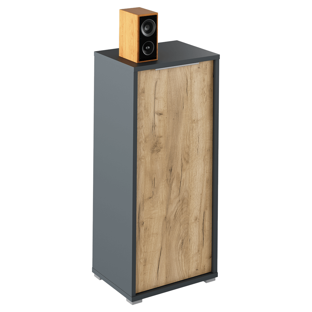 Dulap RIOMA NEW TYP 10, gri grafit/stejar artisan, DTD laminat, cu o usa, 50x38x112 cm