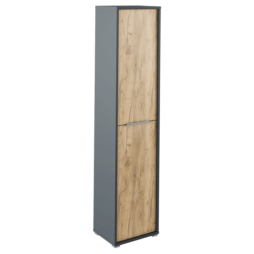 Dulap RIOMA NEW TYPE 06, gri grafit/stejar artisan, DTD laminat, cu 2 usi, 50x38x218 cm