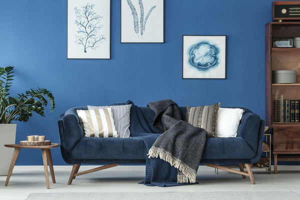 Catifeaua în designul interior: detaliu exclusivist care face remarcat orice ambient - ACAJU 