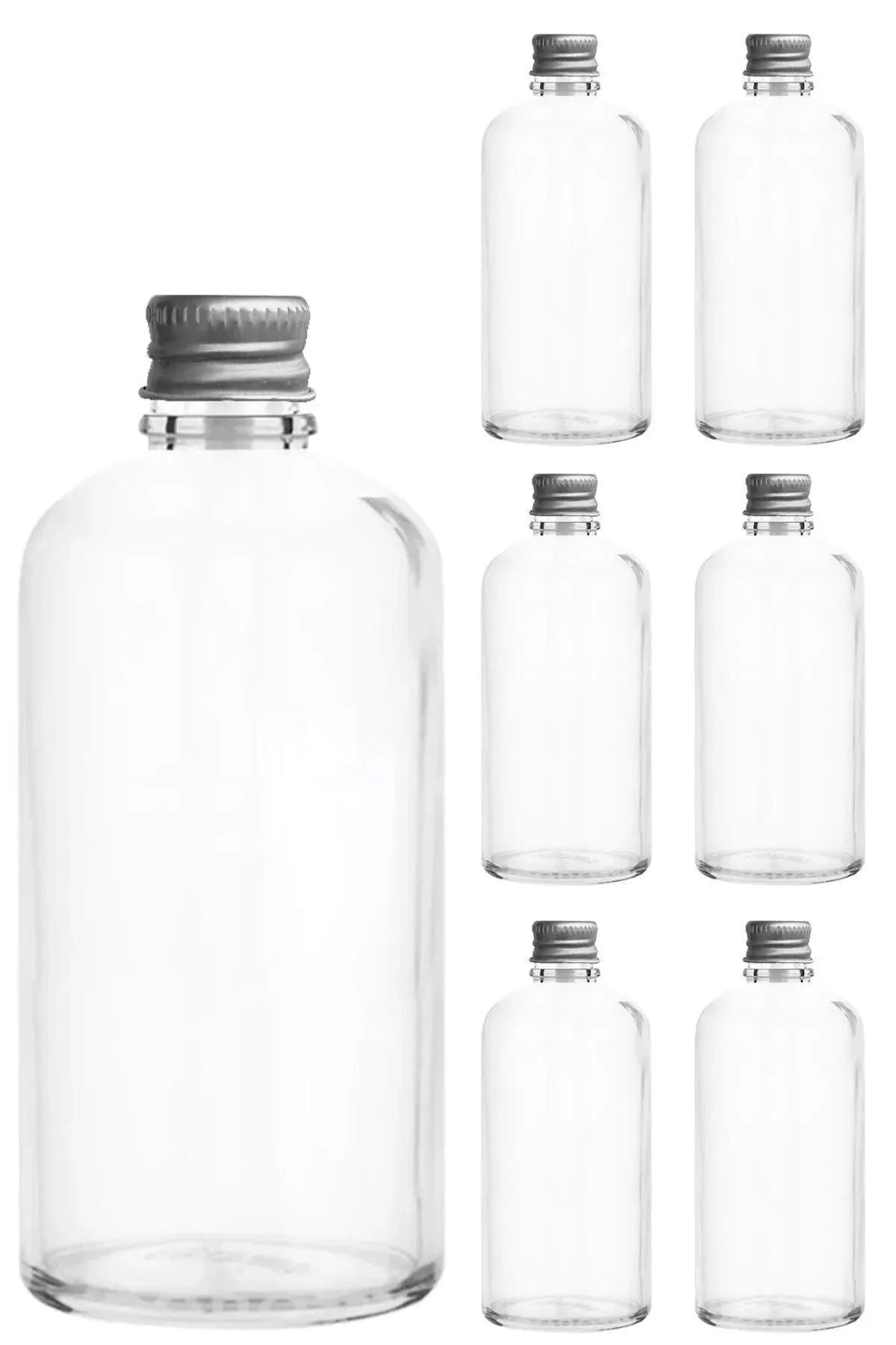 Set sticle (12 piese), Tu-100Ccgumusmetal, Transparent / Argintiu