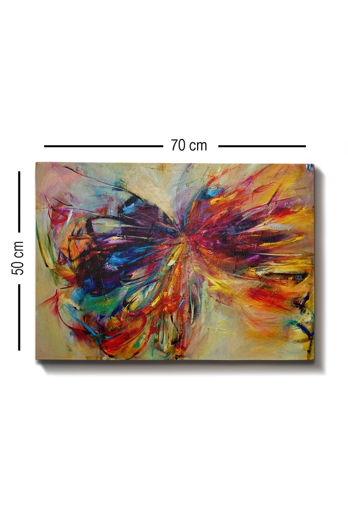 Tablou decorativ pe pânză, Kanvas Tablo (50 x 70) - 267, Multicolor