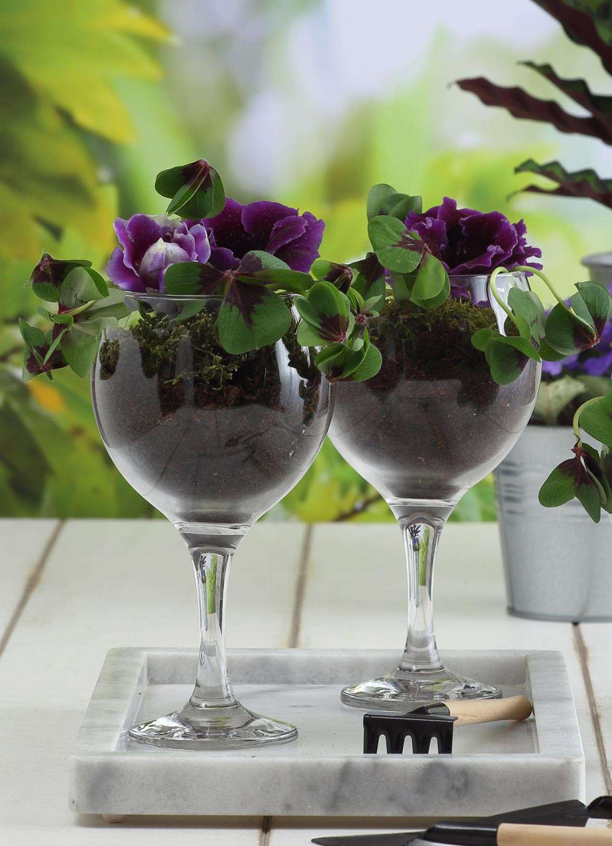 Set pahare vin (6 piese), LV-MIS549F, Transparent
