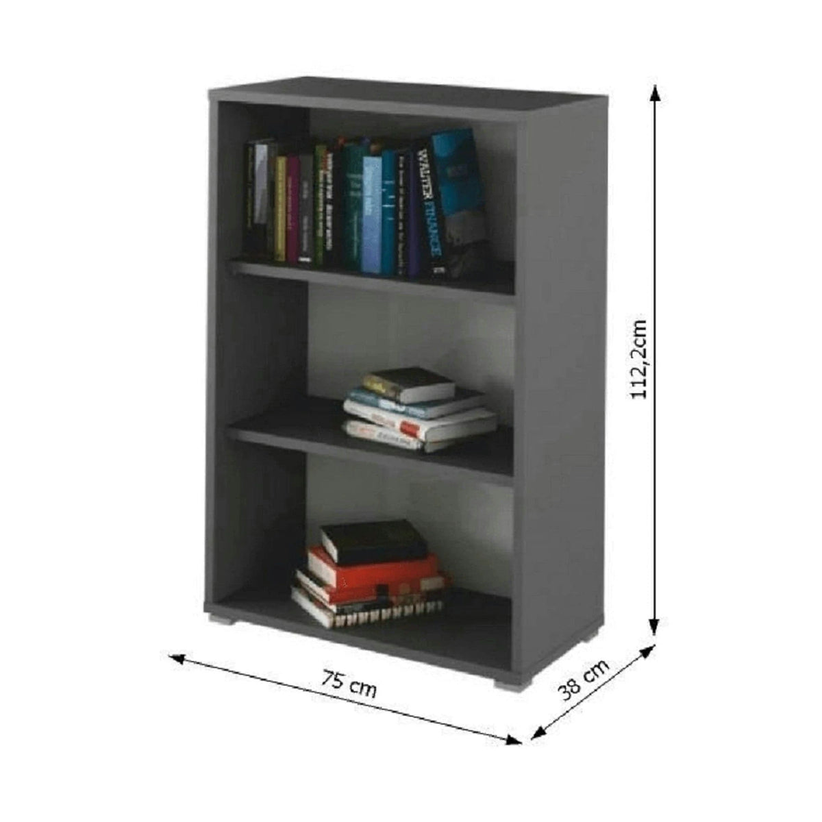 Biblioteca RIOMA NEW TYP 04, gri grafit, PAL melaminat, 75x38x112 cm