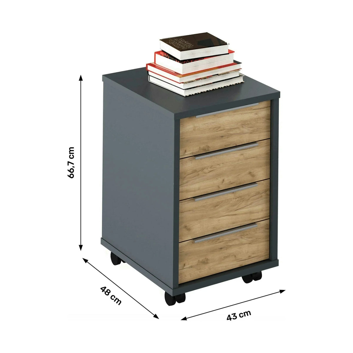 Comoda birou RIOMA NEW TYP 14, gri grafit/stejar artisan, DTD laminat/metal, 43x48x67 cm