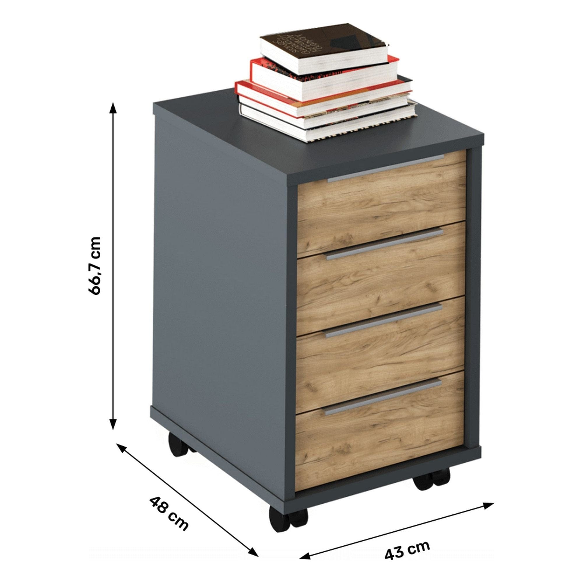 Comoda birou RIOMA NEW TYP 14, gri grafit/stejar artisan, DTD laminat/metal, 43x48x67 cm