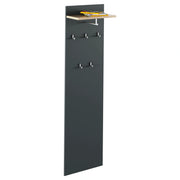 Cuier cu bara de umerase RIOMA NEW TYP 19, gri grafit/stejar artisan, DTD laminat, 50x25x181 cm