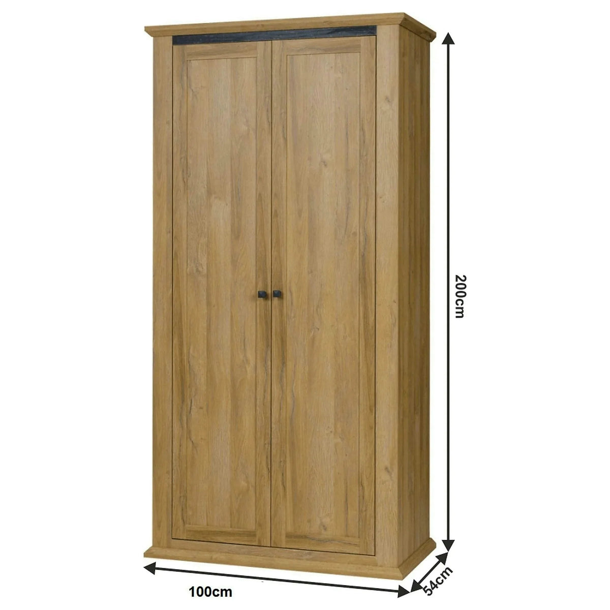 Dulap LEON MZ2, stejar, DTD laminat, cu 2 usi, 100x54x100 cm