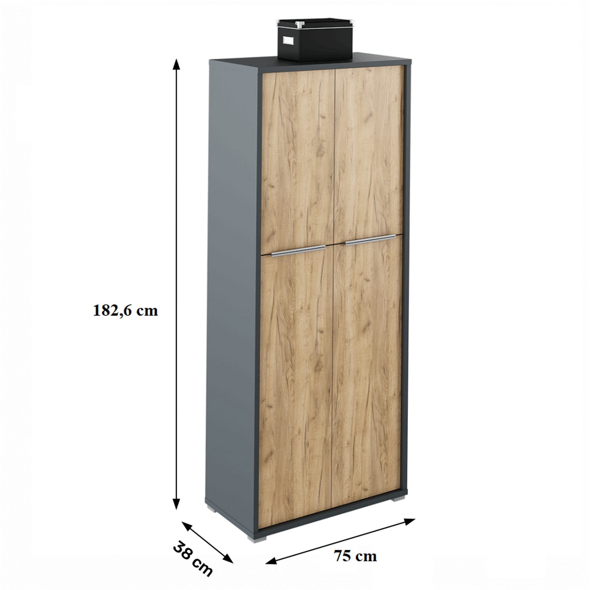 Dulap RIOMA NEW TYP 07, gri grafit/stejar artisan, DTD laminat, cu 4 usi, 75x38x183 cm