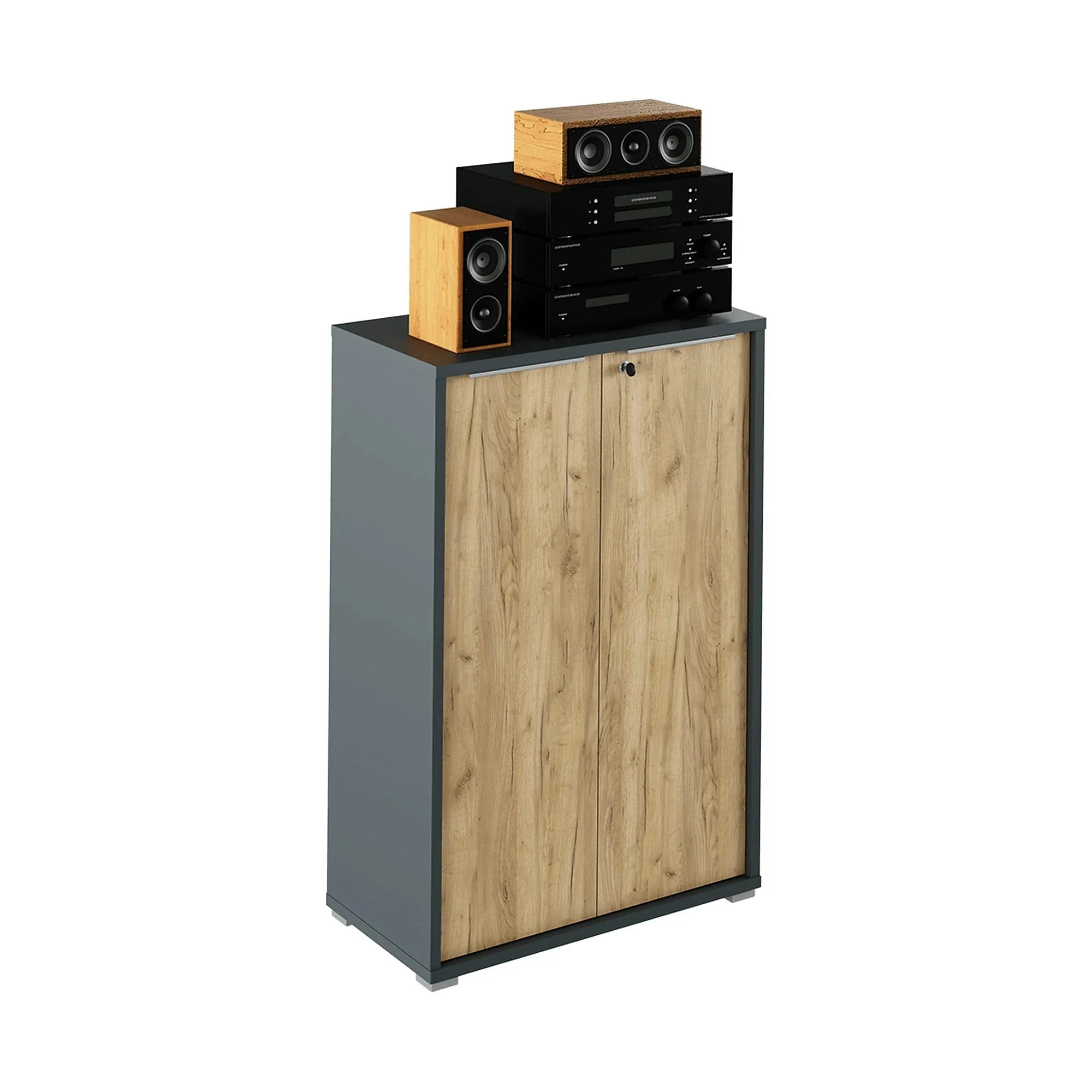 Dulap RIOMA NEW TYP 09, gri grafit/stejar artisan, DTD laminat, cu 2 usi, 75x38x112 cm