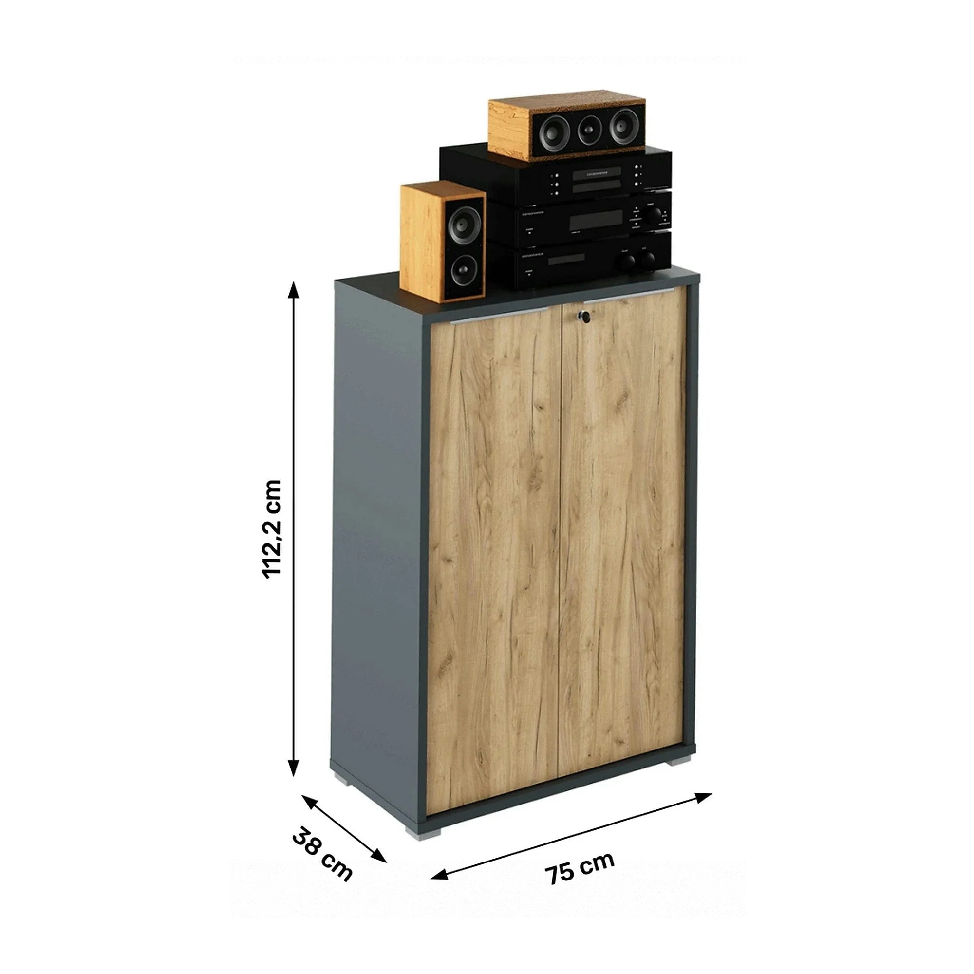 Dulap RIOMA NEW TYP 09, gri grafit/stejar artisan, DTD laminat, cu 2 usi, 75x38x112 cm