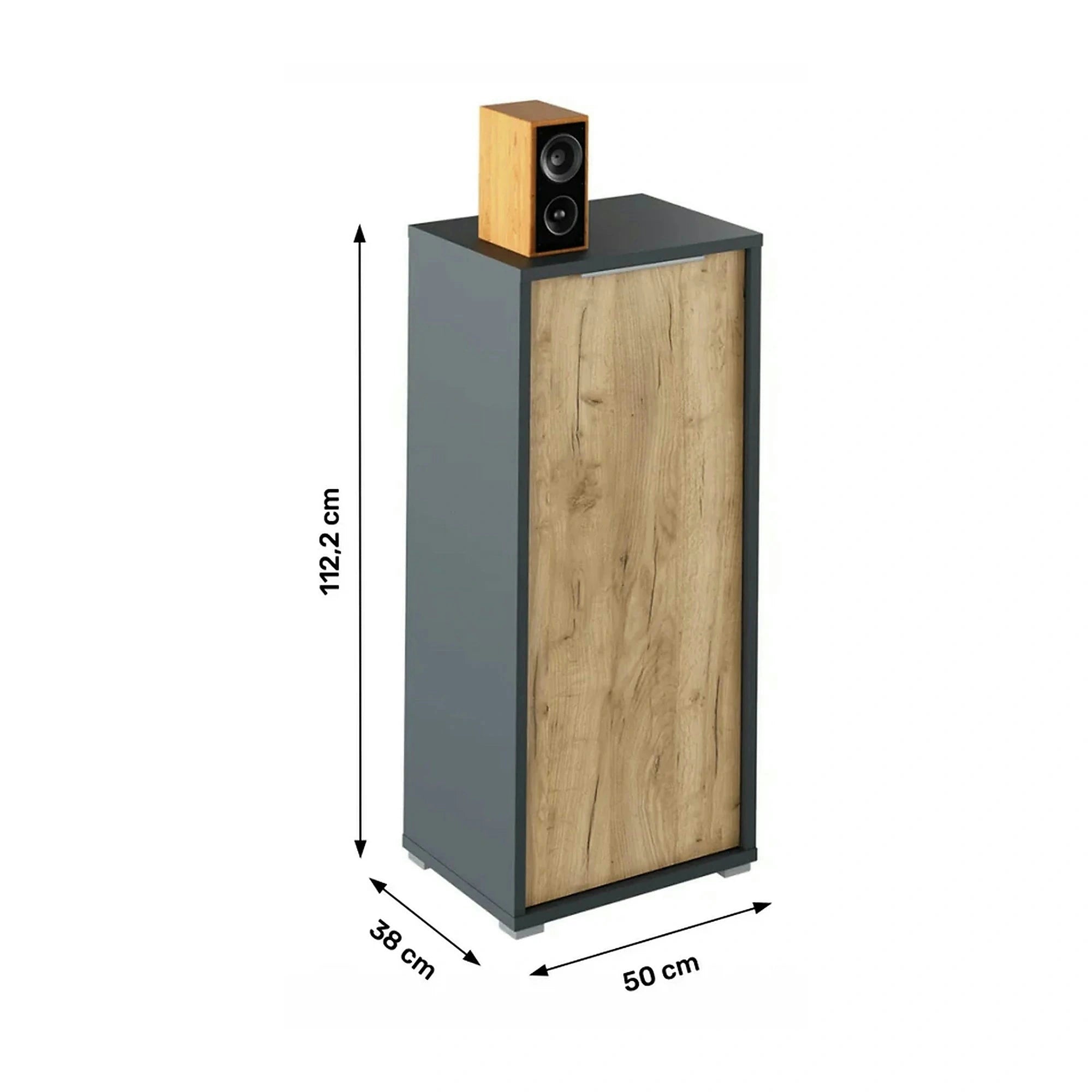 Dulap RIOMA NEW TYP 10, gri grafit/stejar artisan, DTD laminat, cu o usa, 50x38x112 cm