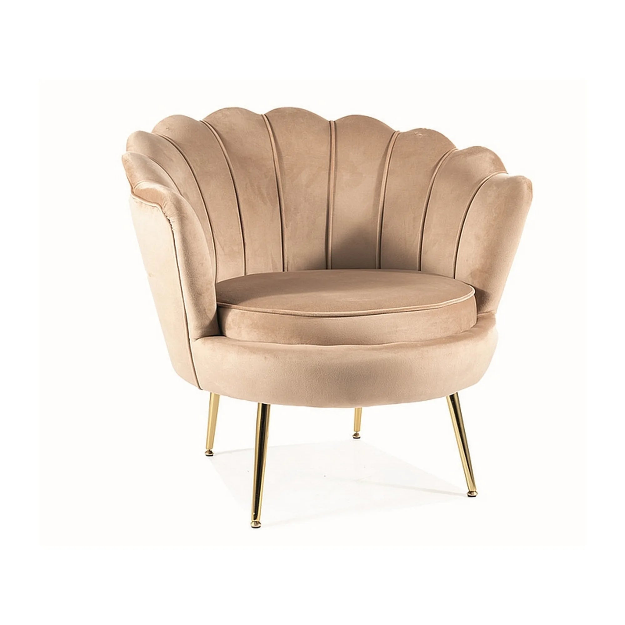 Fotoliu CAMELLIA 1, stofa catifelata bej - Bluvel 28, 81x76x77 cm