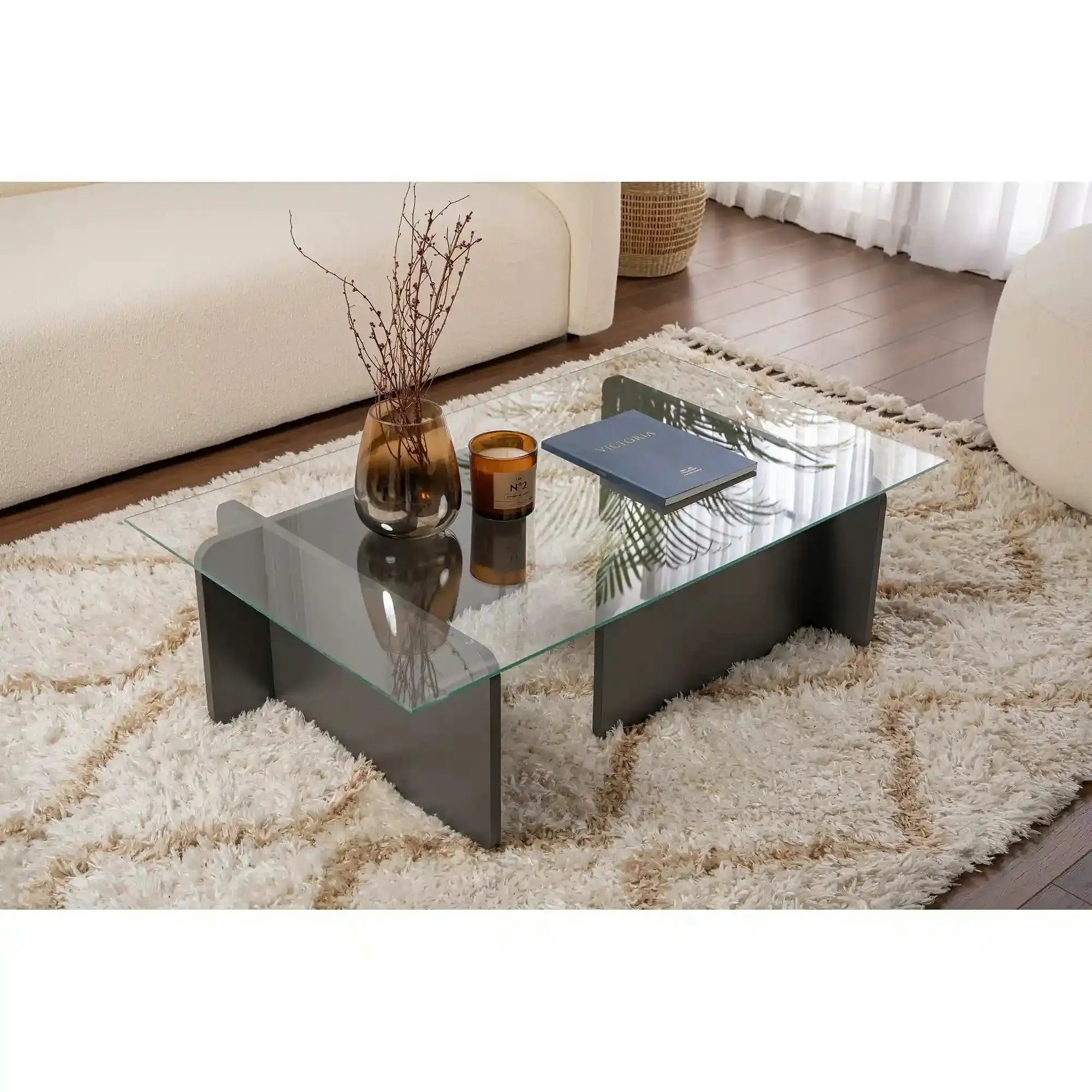Masuta cafea FLAVIO, gri antracit/transparent, PAL/sticla, 105x65x30 cm